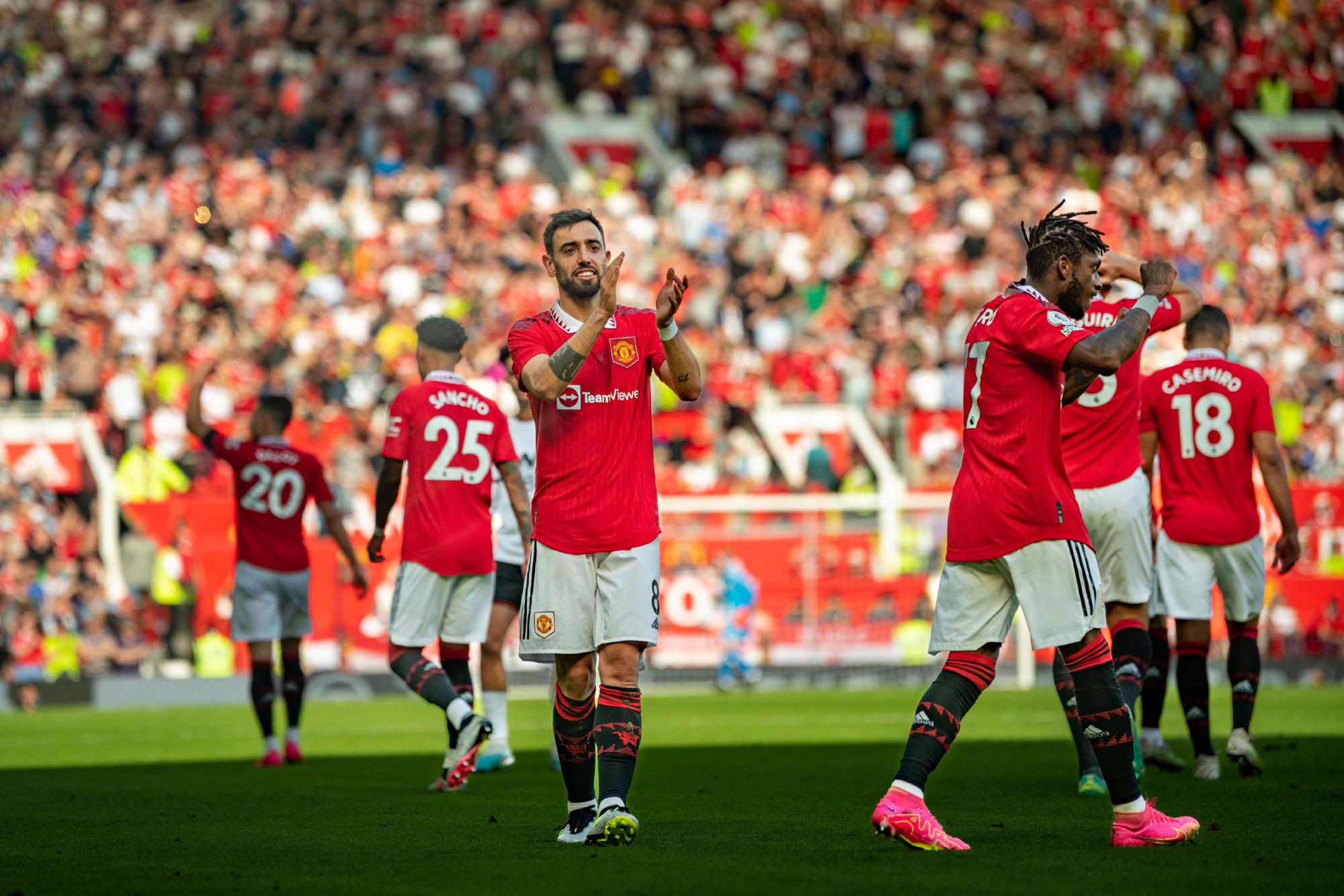 的适应能力 的适应能力